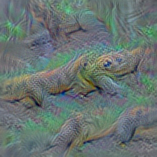 n01695060 Komodo dragon, Komodo lizard, dragon lizard, giant lizard, Varanus komodoensis